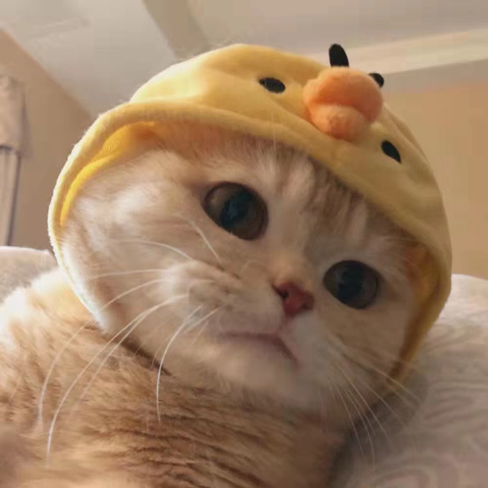 yyy