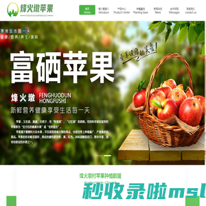 烽火墩苹果-红富士苹果|宁夏苹果|西北苹果|农产品苹果|富硒苹果