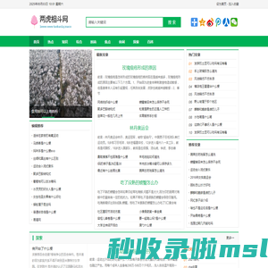 两虎相斗网