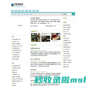 饭囊酒瓮网