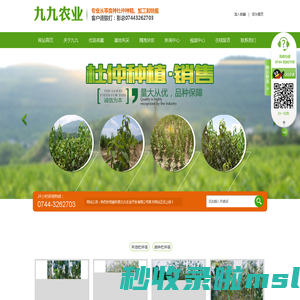 慈利县九九农业开发有限公司_张家界粘木苗销售|杜仲种植|苗木销售