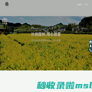 贵阳遵义绿化苗木_遵义盆栽花卉植物_贵州苗木花圃基地_贵阳花卉苗木基地-沙洲园林