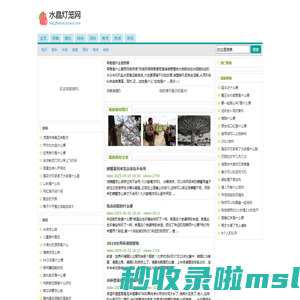 水晶灯笼网