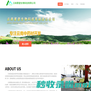 云南景登生物科技有限责任公司&专注 白及、金线莲、铁皮石斛等中药种苗生产销售与产业化开发