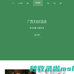 广西天拓C语音