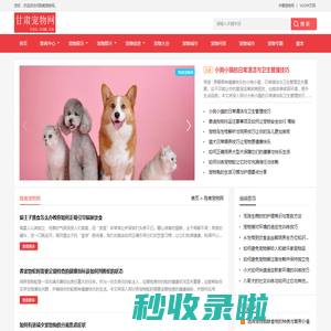 中宠网 - 陇南宠物网