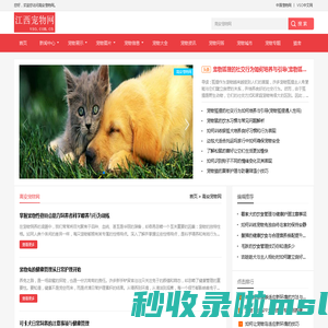 中宠网 - 高安宠物网