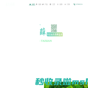 永生苔藓|青苔|绿苔|陕西永生苔藓|西安永生苔藓|永生苔藓墙|永生苔藓景观