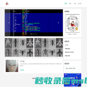 首页 - c0devs blog