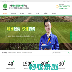 葡萄种植,葡萄苗木,葡萄种植基地,中国设施葡萄第一村周庄村