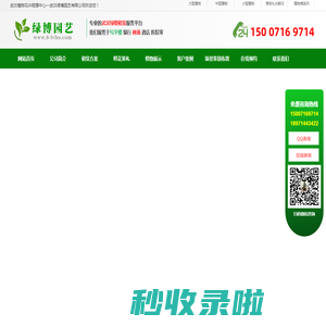 武汉植物租赁公司-绿植租摆养护-武汉绿博园艺有限公司