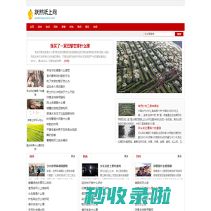 跃然纸上网
