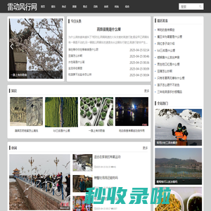 雷动风行网