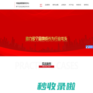 中品咨询 – 差异化战略专家