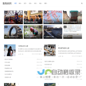 画虎类狗网