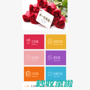 Rose Plans玫瑰计划