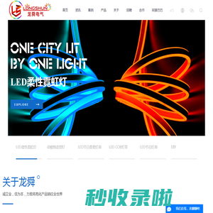 皮线灯_LED造型灯_LED图案灯_LED装饰灯厂家-中山市龙舜电气科技有限公司