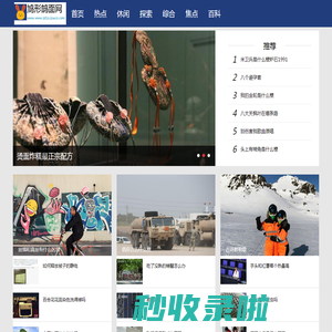 鸠形鹄面网