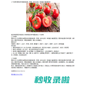 2277安卓网-安卓apk软件_手机应用app下载_手游排行榜_最好玩的安卓游戏