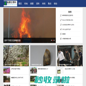 触景生情网