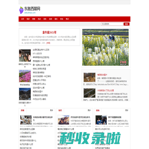 东跑西颠网
