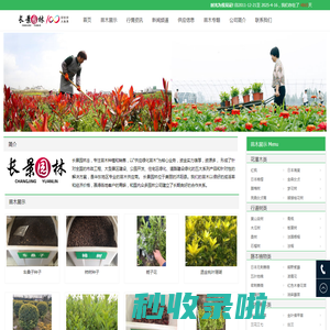 [长景园林] 苗木批发基地-绿化公司-提供苗木报价-品种名称图片查询-三点水商贸