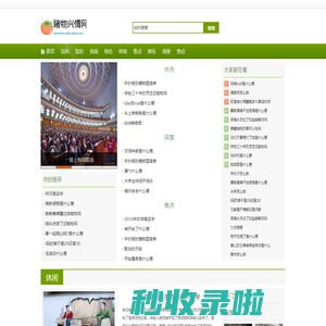 睹物兴情网