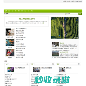 枚速马工网