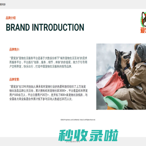爱宠游