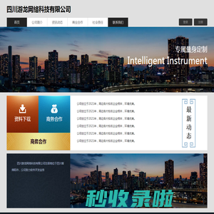 四川游龙网络科技有限公司