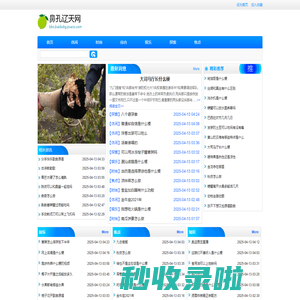 鼻孔辽天网
