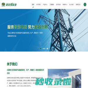 安徽新在线科技股份有限公司