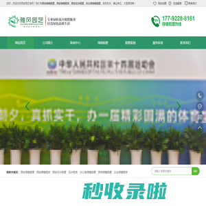 西安绿植租摆,西安花卉租摆,西安绿植租赁,绿植租摆,绿植租赁,办公室绿植租摆—西安雅风绿植租摆