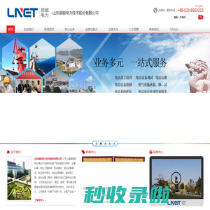 山东丽能电力技术股份有限公司