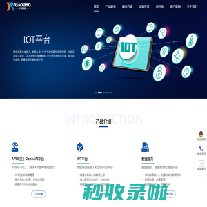 小豹科技-基础软件提供商