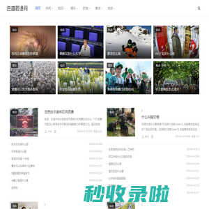 进道若退网