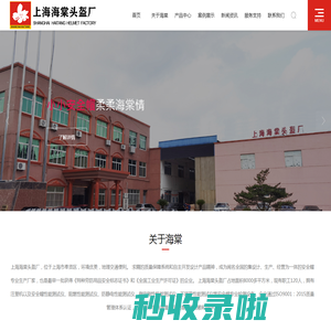上海海棠头盔厂