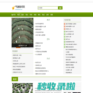 气急败坏网