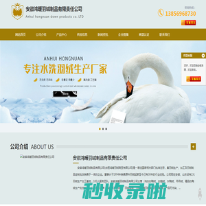 羽绒加工-羽绒批发-羽绒厂家-安徽鸿暖羽绒制品有限责任公司