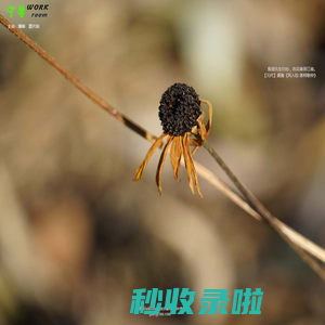 宁馨