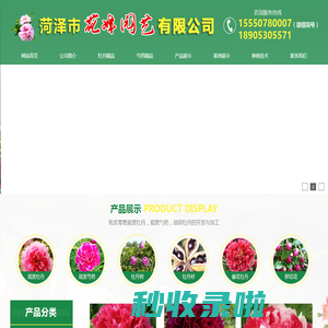 菏泽市花峰园艺有限公司-观赏牡丹,观赏芍药,牡丹芍药鲜切花,牡丹苗
