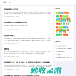龙启网