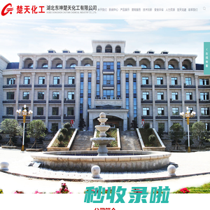 湖北东神楚天化工有限公司_化工制品