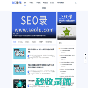 SEO_网站优化_SEO公司_关键词快速排名_谷歌seo推广_SEO录优化网