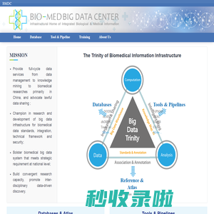 BigData Website
