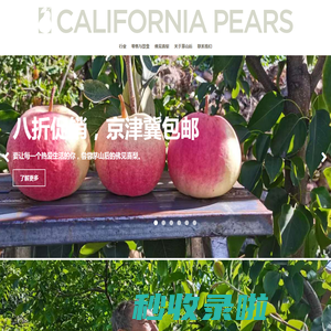茅山后佛见喜梨 – 中国的最美最甜的梨
