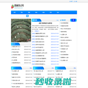 鹊巢鸠占网