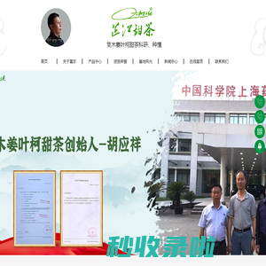 湖南富农甜茶有限责任公司_木姜叶柯甜茶-芷江县甜茶叶种植-甜茶叶加工销售