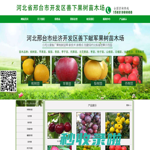 邢台经济开发区善下献军果树苗木场-果树苗新品种|果树苗批发