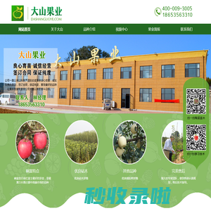 响富|新品种苹果苗|烟台苹果苗|烟台矮化苹果苗|烟富3号苹果苗|M9T337矮化苹果苗-大山果业